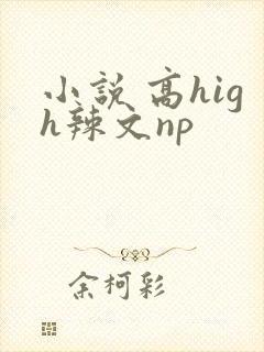 小说 高high辣文np