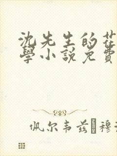 沈先生的花式教学小说免费