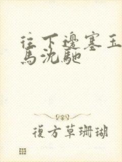 往下边塞玉器骑马沈驰封面