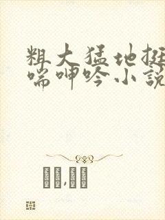 粗大猛地挺进娇喘呻吟小说封面