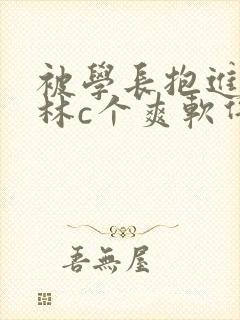 被学长抱进小树林c个爽软件