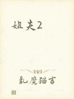 姐夫2