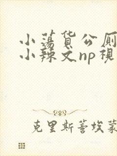 小荡货公厕h文小辣文np视频