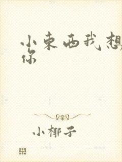 小东西我想弄坏你