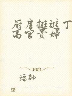 厨房挺进丁字裤高官贵妇