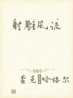 射雕风流封面