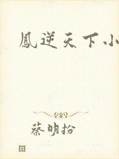凤逆天下小说
