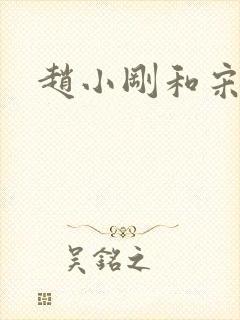 赵小刚和宋雨晴封面