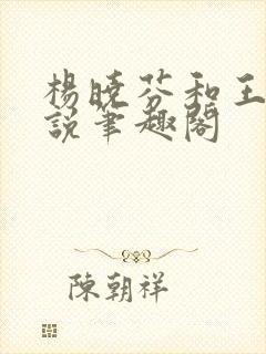 杨晓芬和王磊小说笔趣阁