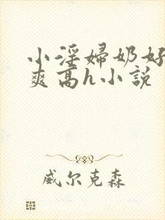 小淫妇奶好大好爽高h小说