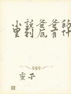 小说爸爸的书房里到底有什么