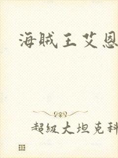 海贼王艾恩封面