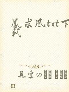 凤求凰txt下载