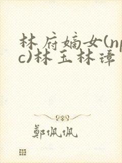 林府嫡女(npc)林玉林璋