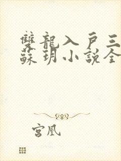 双龙入户三人行苏玥小说全文阅读