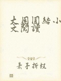 大团圆结小茹全文阅读