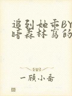 追到她乖BY黑暗森林写的小说封面