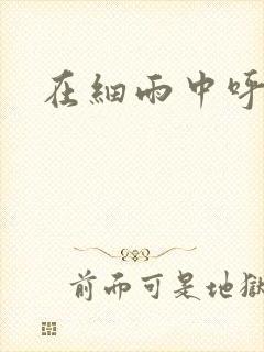 在细雨中呼喊