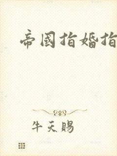 帝国指婚指南封面