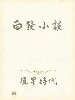 白发小说