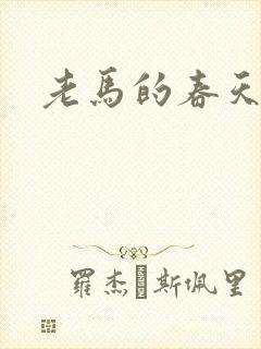 老马的春天敏静