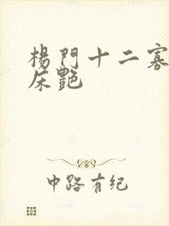 杨门十二寡妇肉床艳