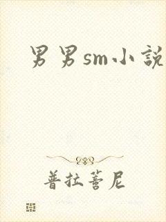 男男sm小说