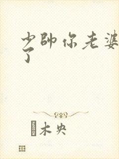 少帅你老婆又跑了