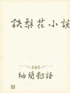 铁梨花小说封面