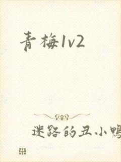 青梅1v2封面