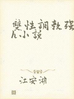 双性调教强制高h小说封面