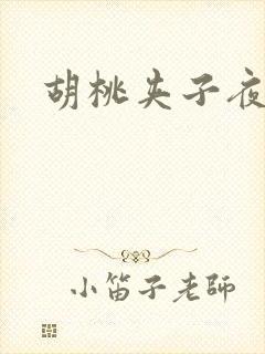 胡桃夹子夜未眠