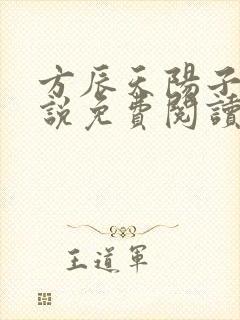 方辰天阳子的小说免费阅读封面