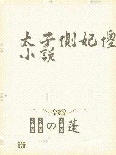 太子侧妃傻乎乎小说封面