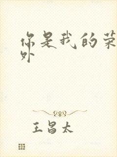 你是我的荣耀番外