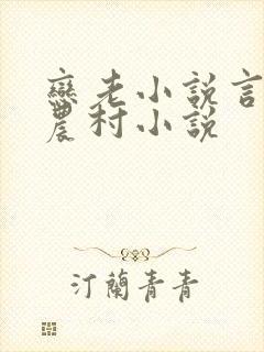 恋老小说言情网农村小说