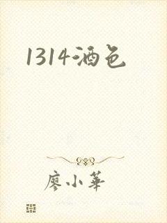 1314酒色封面