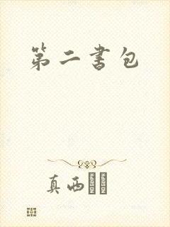 第二书包