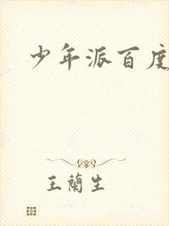 少年派百度百科