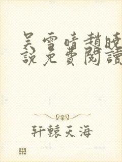 吴雪晴赵晓东小说免费阅读封面