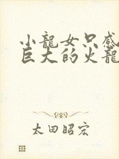 小龙女只感觉那巨大的火龙枪封面