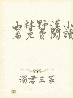 山林野汉小说全篇免费阅读