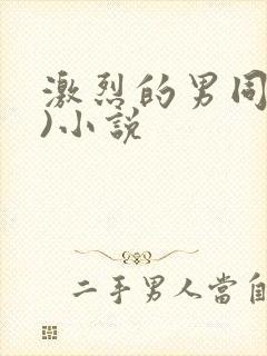 激烈的男同(h)小说