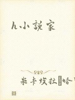 h小说家封面