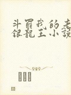 斗罗我的老婆是银龙王小说免费阅读