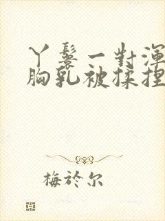 丫鬟一对浑圆的胸乳被揉捏