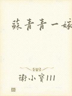 苏青青一嫁三夫封面