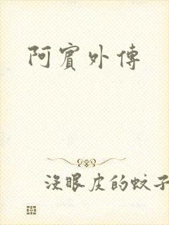 阿宾外传封面