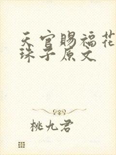 天官赐福花怜塞珠子原文