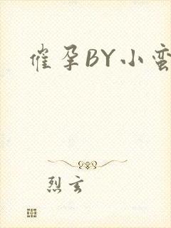 催孕BY小蛮腰